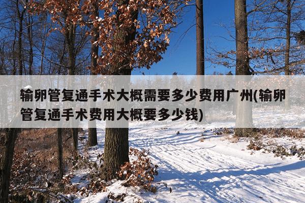 输卵管复通手术大概需要多少费用广州(输卵管复通手术费用大概要多少钱)