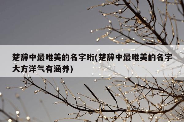 楚辞中最唯美的名字珩(楚辞中最唯美的名字大方洋气有涵养)