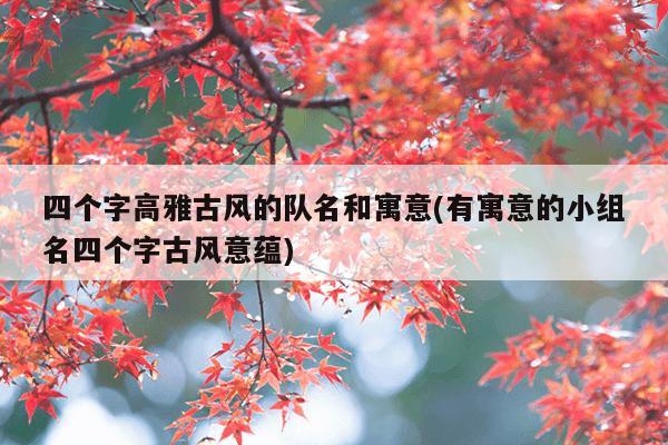 四个字高雅古风的队名和寓意(有寓意的小组名四个字古风意蕴)