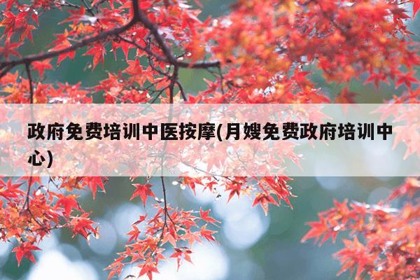 政府免费培训中医按摩(月嫂免费政府培训中心)