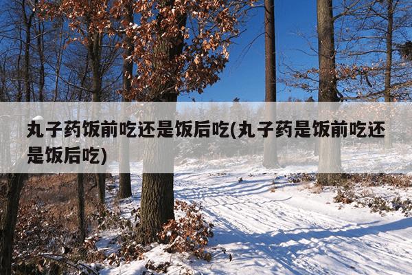 丸子药饭前吃还是饭后吃(丸子药是饭前吃还是饭后吃)