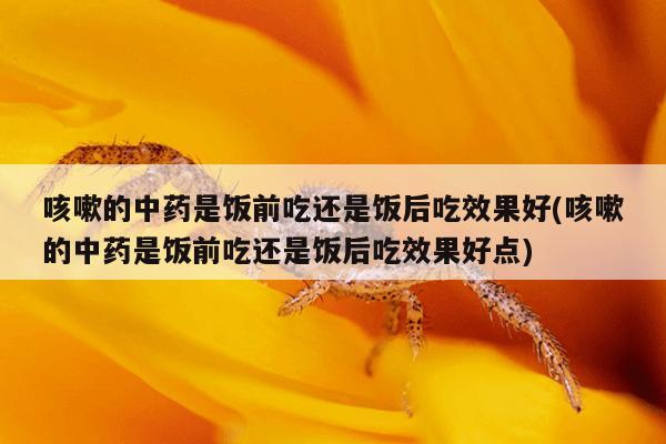 咳嗽的中药是饭前吃还是饭后吃效果好(咳嗽的中药是饭前吃还是饭后吃效果好点)