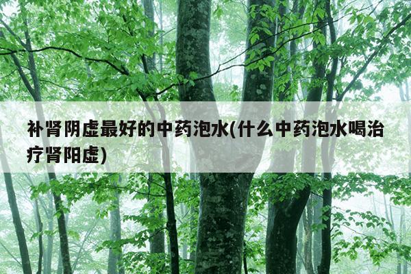 补肾阴虚最好的中药泡水(什么中药泡水喝治疗肾阳虚)