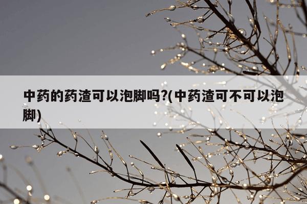 中药的药渣可以泡脚吗?(中药渣可不可以泡脚)