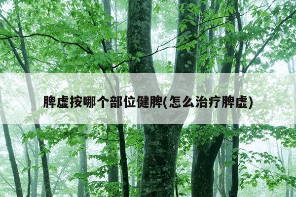 脾虚按哪个部位健脾(怎么治疗脾虚)