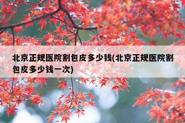 北京正规医院割包皮多少钱(北京正规医院割包皮多少钱一次)