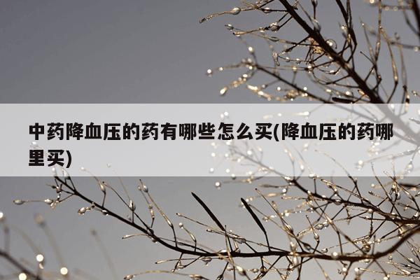 中药降血压的药有哪些怎么买(降血压的药哪里买)