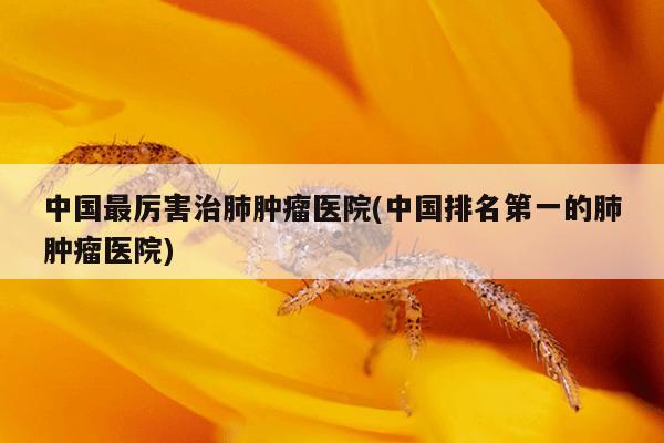 中国最厉害治肺肿瘤医院(中国排名第一的肺肿瘤医院)