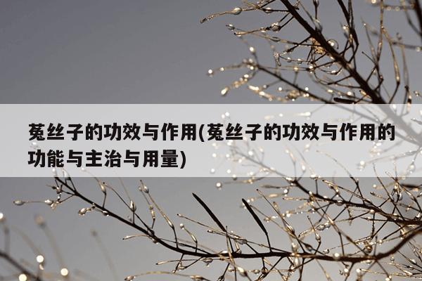 菟丝子的功效与作用(菟丝子的功效与作用的功能与主治与用量)