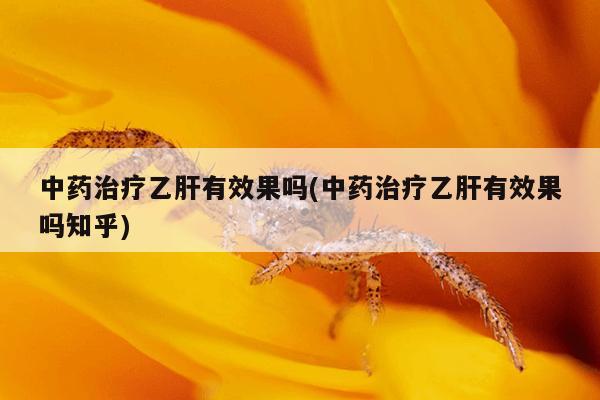 中药治疗乙肝有效果吗(中药治疗乙肝有效果吗知乎)