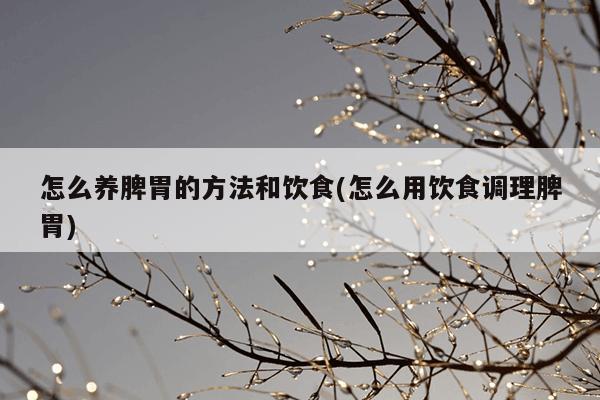 怎么养脾胃的方法和饮食(怎么用饮食调理脾胃)