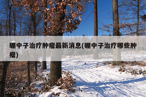 硼中子治疗肿瘤最新消息(硼中子治疗哪些肿瘤)