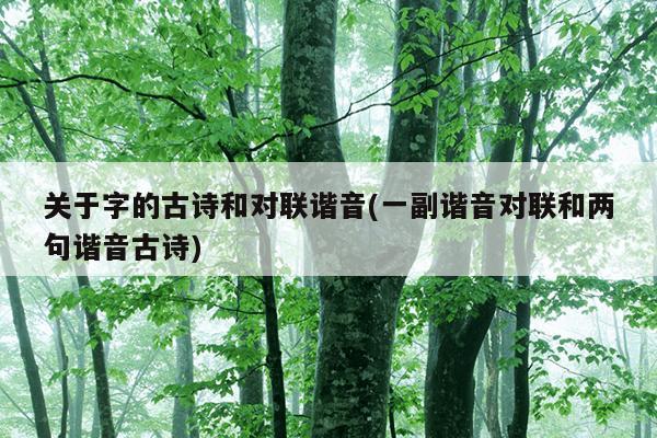 关于字的古诗和对联谐音(一副谐音对联和两句谐音古诗)