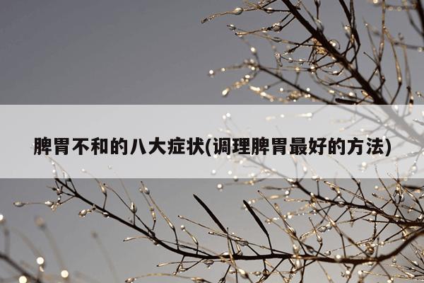 脾胃不和的八大症状(调理脾胃最好的方法)