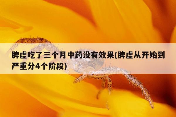 脾虚吃了三个月中药没有效果(脾虚从开始到严重分4个阶段)