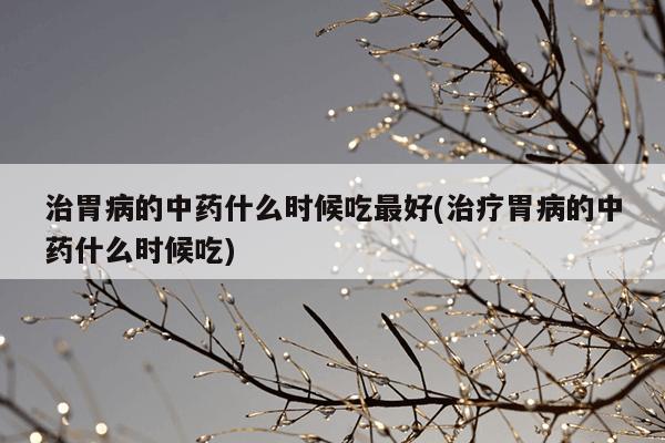 治胃病的中药什么时候吃最好(治疗胃病的中药什么时候吃)