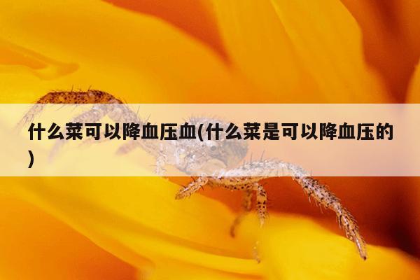 什么菜可以降血压血(什么菜是可以降血压的)