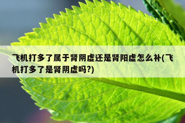 飞机打多了属于肾阴虚还是肾阳虚怎么补(飞机打多了是肾阴虚吗?)