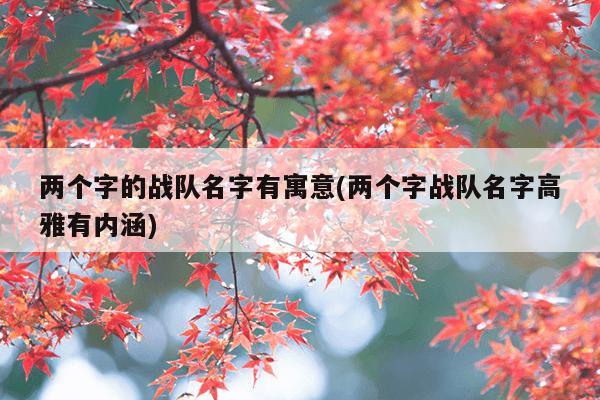 两个字的战队名字有寓意(两个字战队名字高雅有内涵)