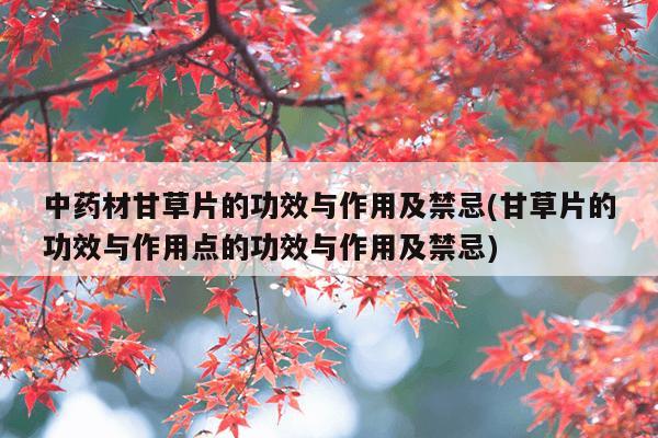 中药材甘草片的功效与作用及禁忌(甘草片的功效与作用点的功效与作用及禁忌)