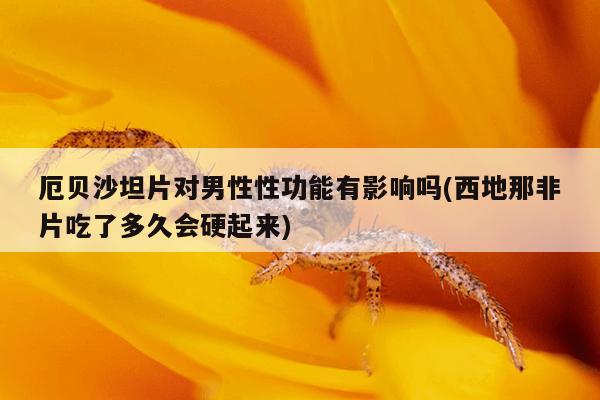 厄贝沙坦片对男性性功能有影响吗(西地那非片吃了多久会硬起来)