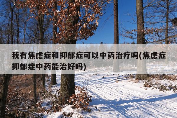 我有焦虑症和抑郁症可以中药治疗吗(焦虑症抑郁症中药能治好吗)