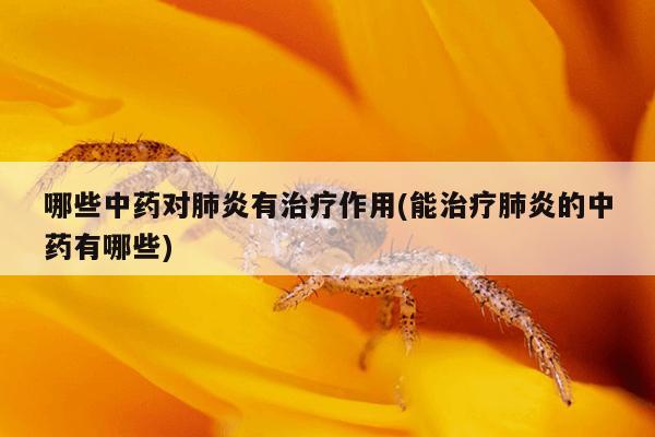 哪些中药对肺炎有治疗作用(能治疗肺炎的中药有哪些)