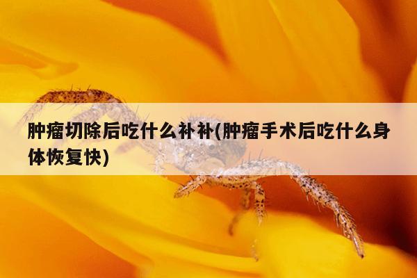 肿瘤切除后吃什么补补(肿瘤手术后吃什么身体恢复快)