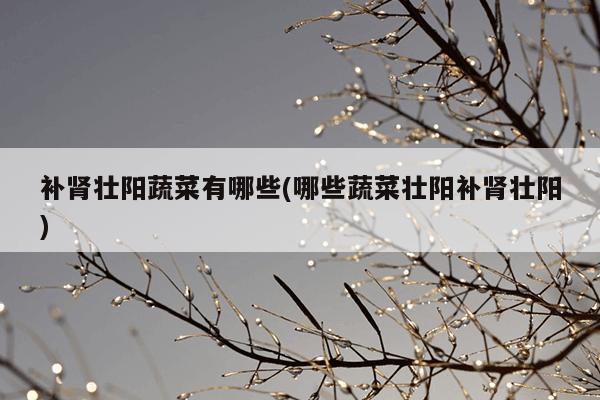 补肾壮阳蔬菜有哪些(哪些蔬菜壮阳补肾壮阳)