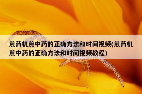 煎药机煎中药的正确方法和时间视频(煎药机煎中药的正确方法和时间视频教程)