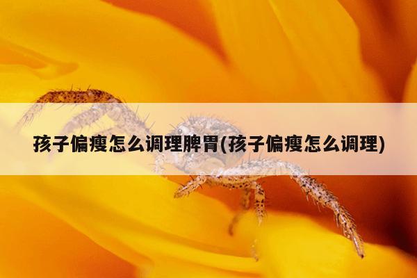 孩子偏瘦怎么调理脾胃(孩子偏瘦怎么调理)