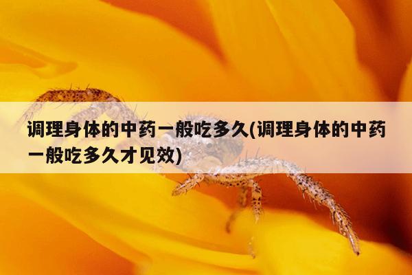 调理身体的中药一般吃多久(调理身体的中药一般吃多久才见效)