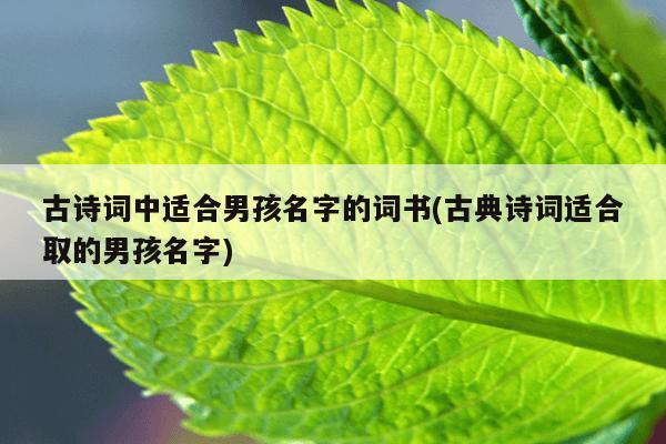 古诗词中适合男孩名字的词书(古典诗词适合取的男孩名字)