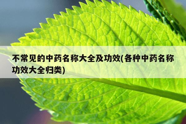 不常见的中药名称大全及功效(各种中药名称功效大全归类)