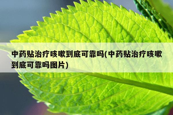 中药贴治疗咳嗽到底可靠吗(中药贴治疗咳嗽到底可靠吗图片)