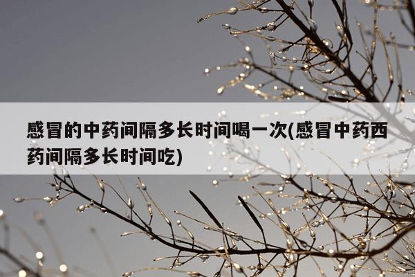 感冒的中药间隔多长时间喝一次(感冒中药西药间隔多长时间吃)