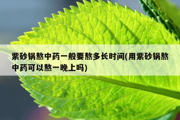 紫砂锅熬中药一般要熬多长时间(用紫砂锅熬中药可以熬一晚上吗)
