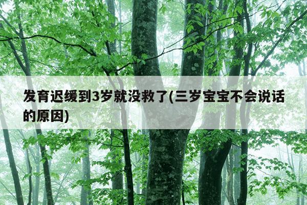 发育迟缓到3岁就没救了(三岁宝宝不会说话的原因)