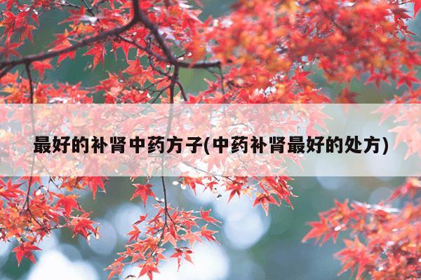 最好的补肾中药方子(中药补肾最好的处方)