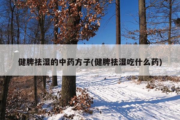 健脾祛湿的中药方子(健脾祛湿吃什么药)