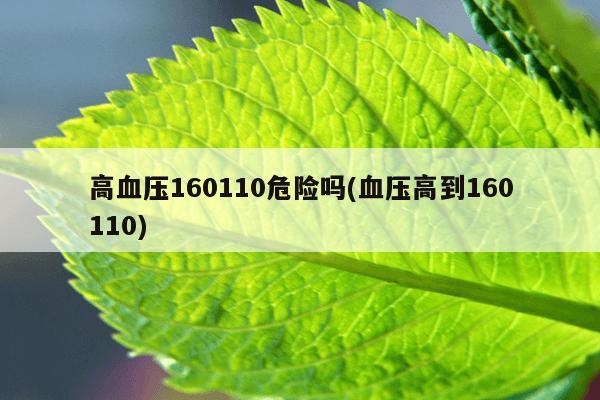 高血压160110危险吗(血压高到160110)