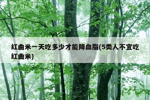 红曲米一天吃多少才能降血脂(5类人不宜吃红曲米)