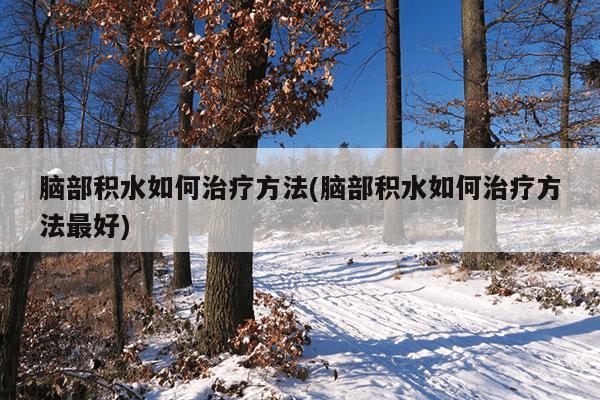 脑部积水如何治疗方法(脑部积水如何治疗方法最好)