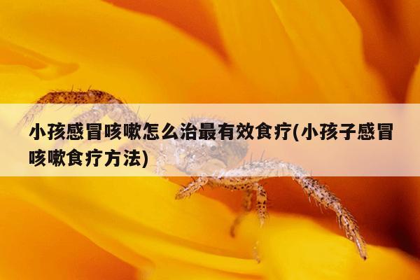 小孩感冒咳嗽怎么治最有效食疗(小孩子感冒咳嗽食疗方法)