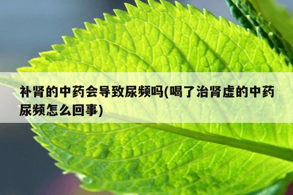 补肾的中药会导致尿频吗(喝了治肾虚的中药尿频怎么回事)