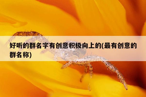 好听的群名字有创意积极向上的(最有创意的群名称)