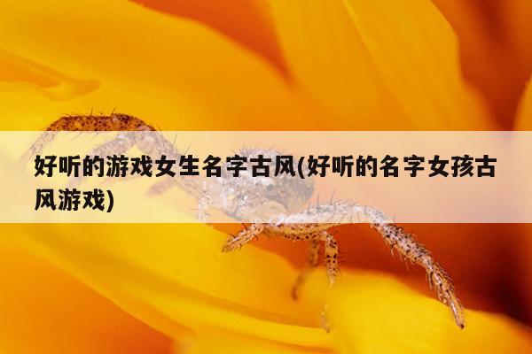 好听的游戏女生名字古风(好听的名字女孩古风游戏)