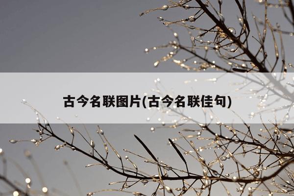 古今名联图片(古今名联佳句)