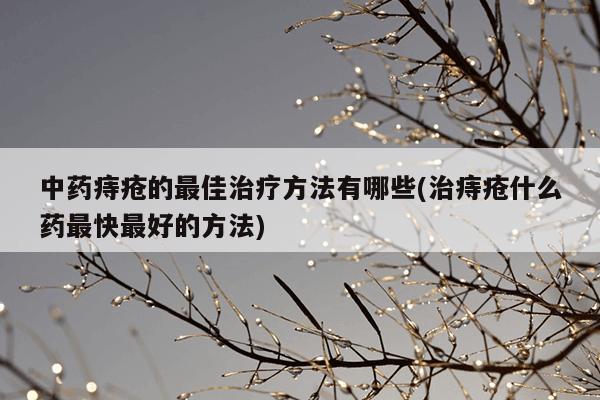 中药痔疮的最佳治疗方法有哪些(治痔疮什么药最快最好的方法)