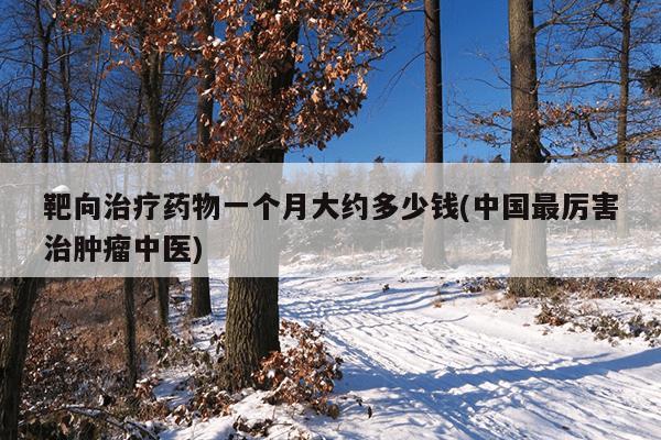 靶向治疗药物一个月大约多少钱(中国最厉害治肿瘤中医)